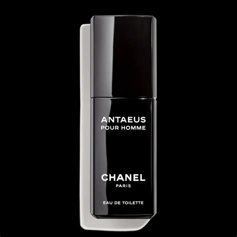 antaeus chanel eau de toilette 200 ml|chanel antaeus 100ml price.